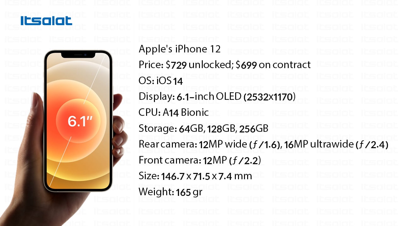 iPhone1212mini-02
